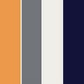 پالت رنگ نارنجی(زرد خردلی) و خاکستری، روانشناسی رنگ + کدهای رنگی