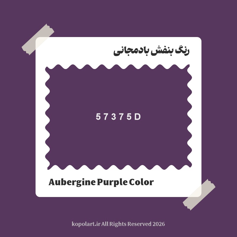رنگ بنفش بادمجانی با کد هگز 57375D