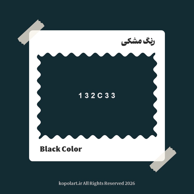 رنگ ‌مشکی با کد هگز 132C33