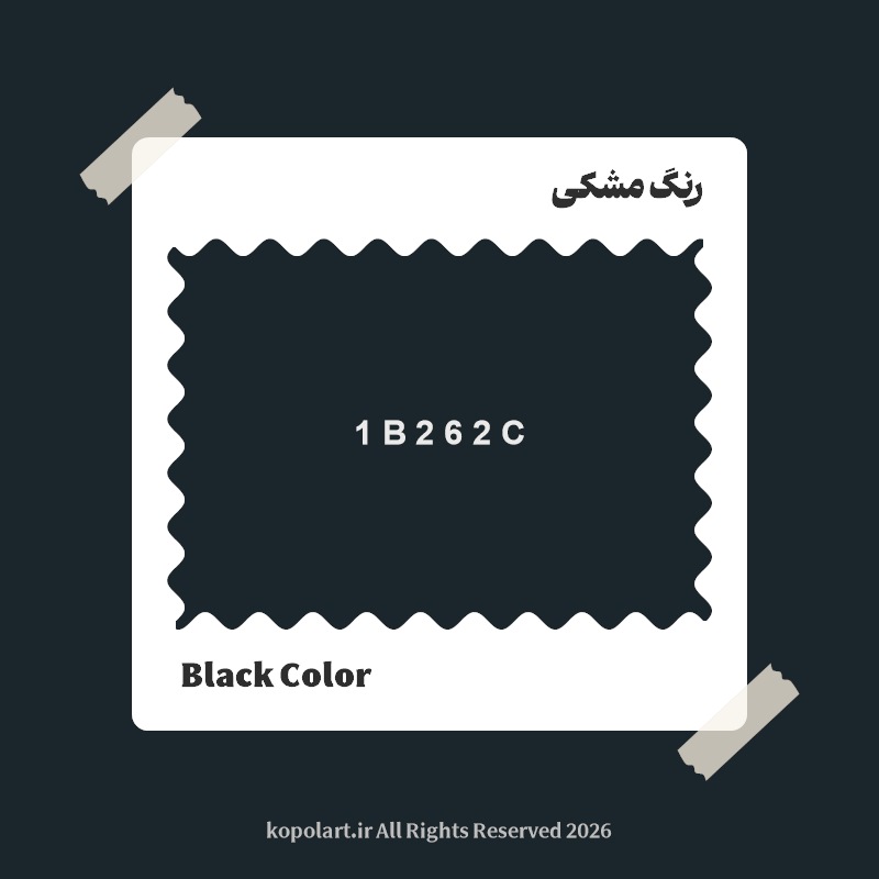 رنگ مشکی با کد هگز 1B262C