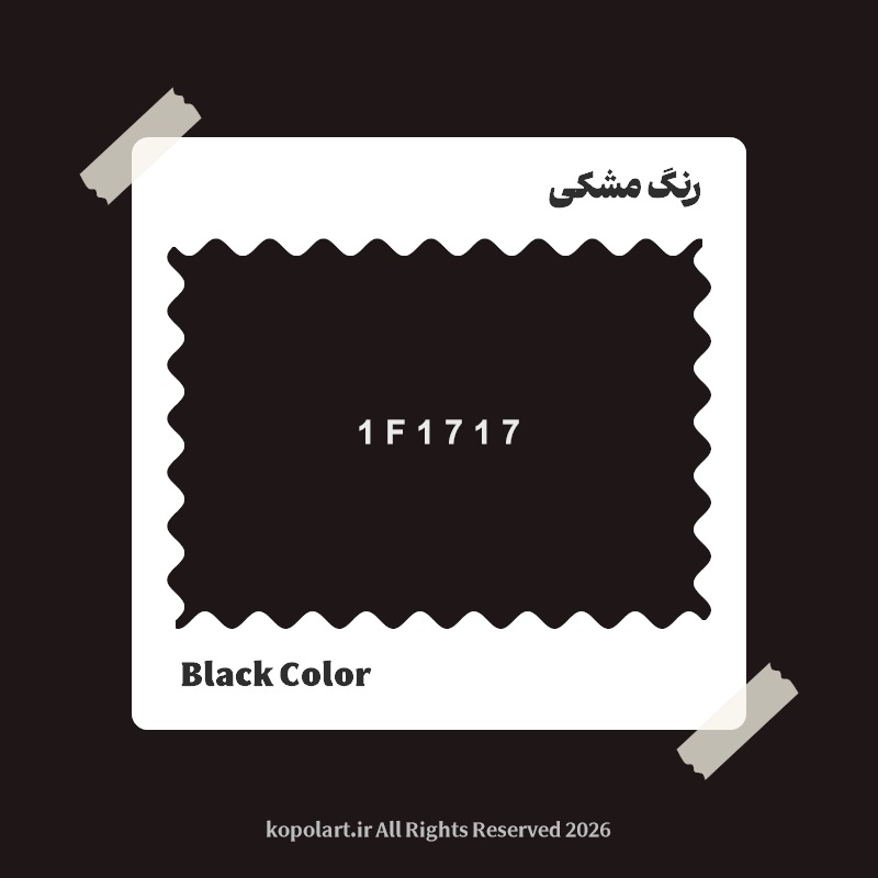 رنگ مشکی با کد هگز 1F1717