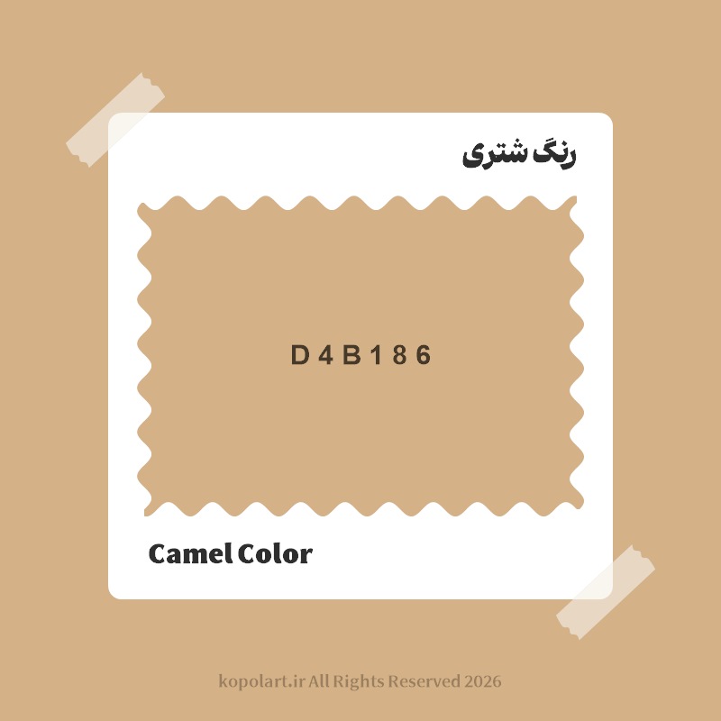 رنگ شتری با کد هگز D4B186