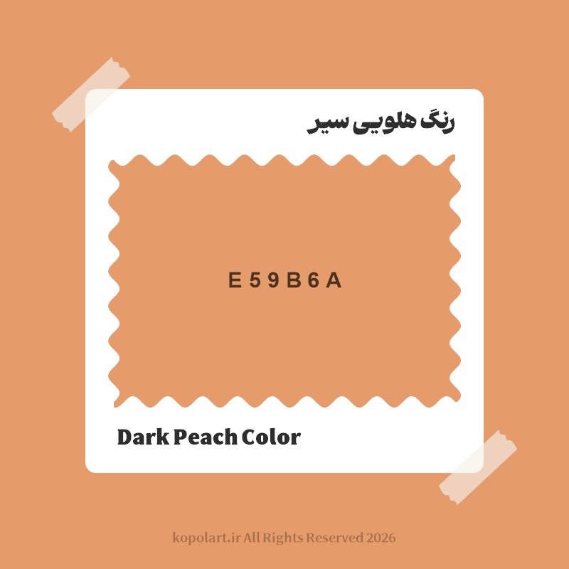 رنگ هلویی سیر با کد هگز E59B6A