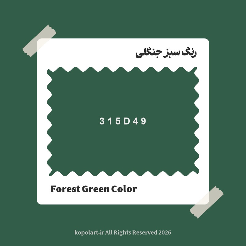 رنگ سبز جنگلی با کد هگز 315D49