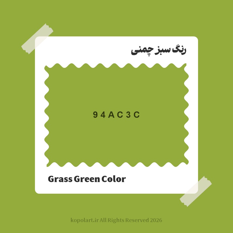 رنگ سبز چمنی با کد هگز 94AC3C