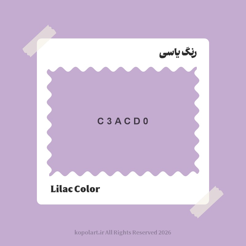 رنگ یاسی با کد هگز C3ACD0