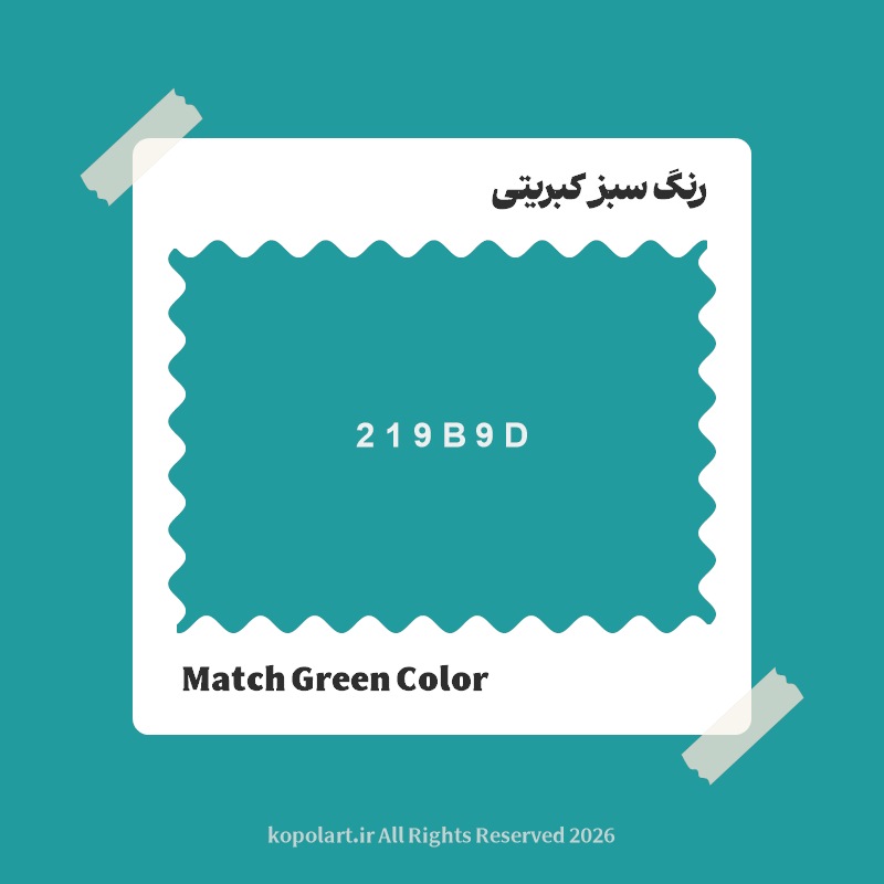 رنگ سبز کبریتی با کد هگز 219B9D