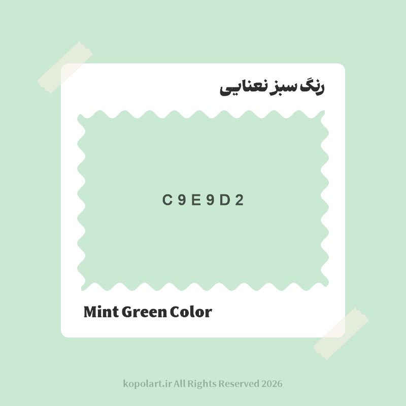 رنگ سبز نعنایی با کد هگز C9E9D2