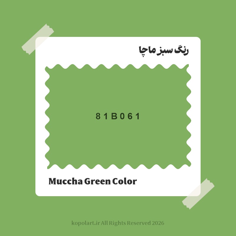 رنگ سبز ماچا با کد هگز 81B061
