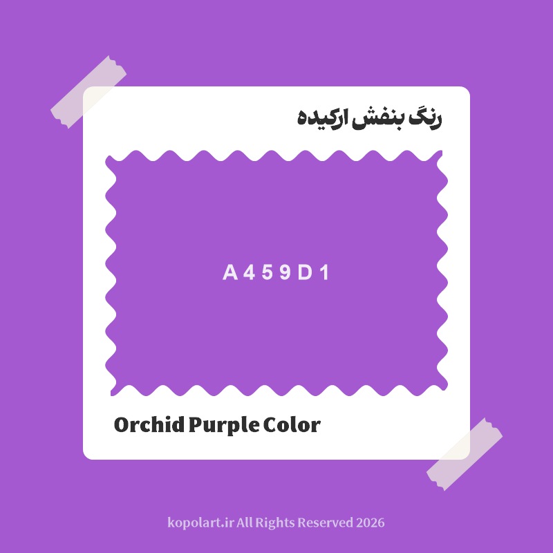 رنگ بنفش ارکیده با کد هگز A459D1