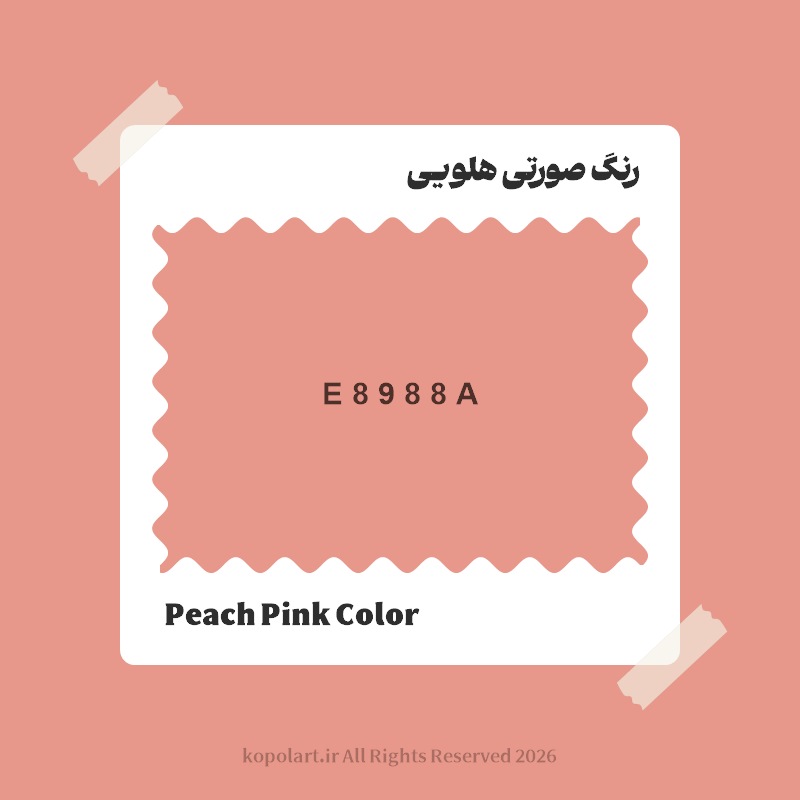 رنگ صورتی هلویی با کد هگز E8988A