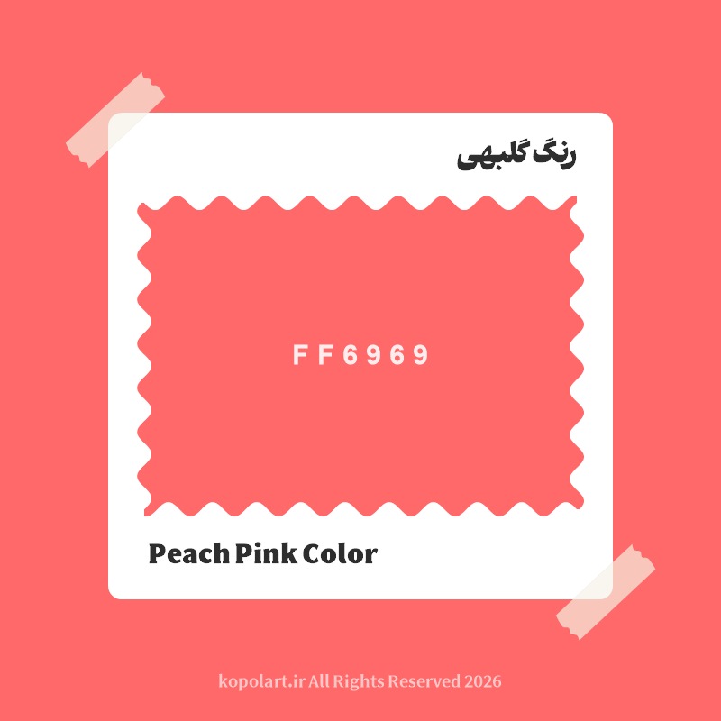 رنگ گلبهی با کد هگز FF6969