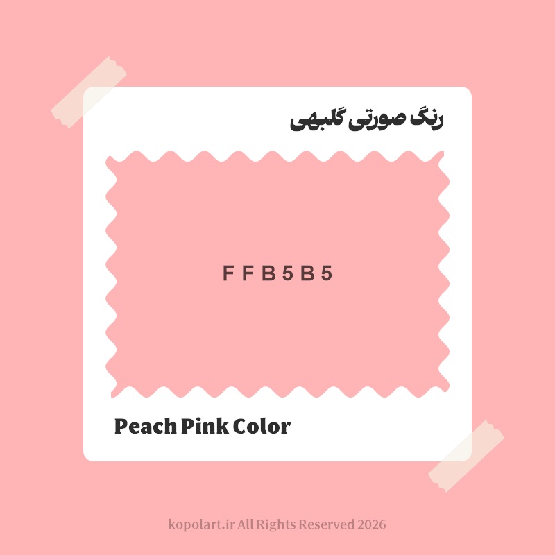 رنگ صورتی گلبهی با کد هگز FFB5B5