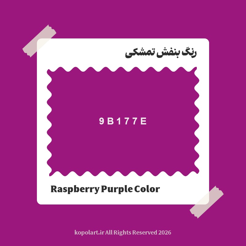 رنگ بنفش تمشکی با کد هگز 9B177E