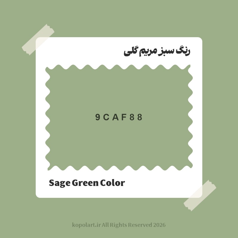 رنگ سبز مریم گلی با کد هگز 9CAF88