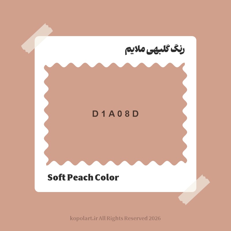 رنگ گلبهی ملایم با کد هگز D1A08D