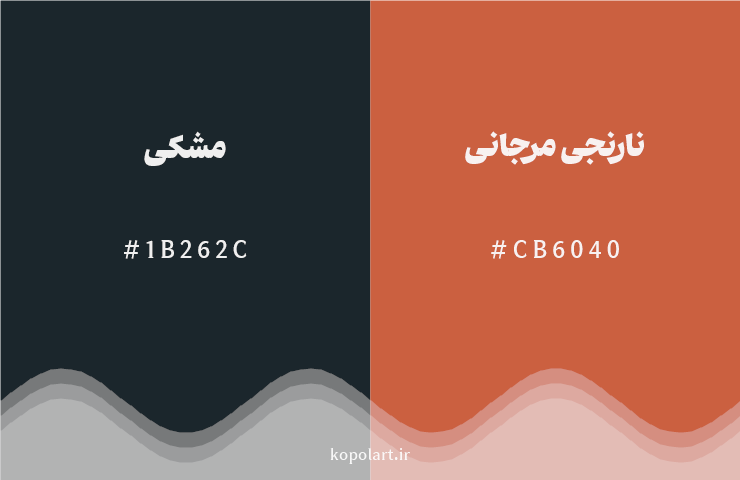 رنگ مکمل مشکی با کد هگزادسیمال 1B262C، رنگ نارنجی مرجانی با کد CB6040