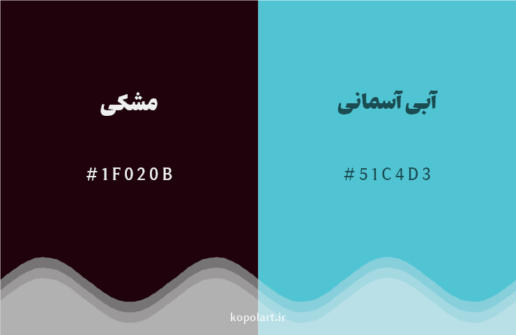 رنگ مکمل مشکی با کد هگزادسیمال 1F020B، رنگ آبی آسمانی با کد 51C4D3