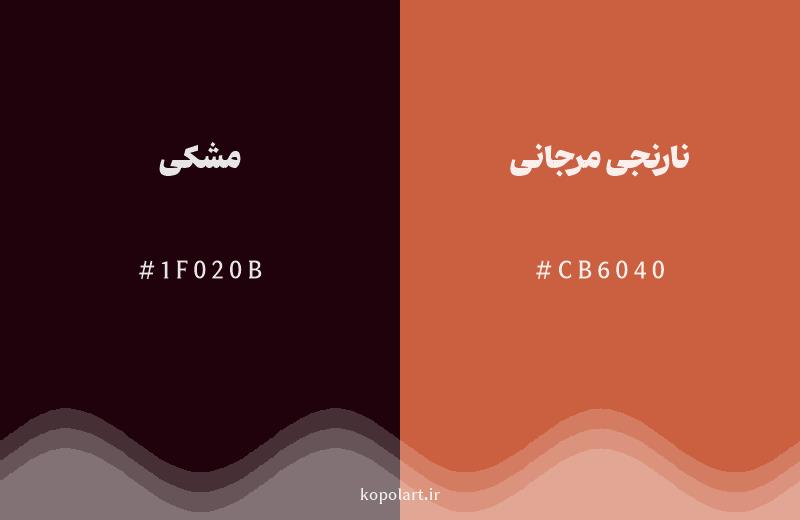 رنگ همسایه مشکی با کد هگزادسیمال 1F020B، رنگ نارنجی مرجانی با کد CB6040
