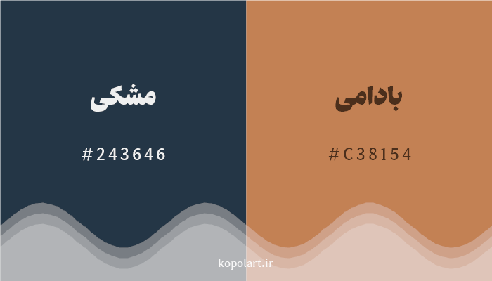 رنگ مکمل مشکی با کد هگزادسیمال 243646، رنگ بادامی با کد C38154