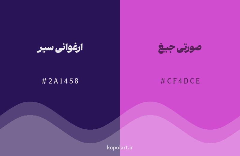 رنگ همسایه ارغوانی سیر با کد هگزادسیمال 2A1458، رنگ صورتی جیغ با کد CF4DCE
