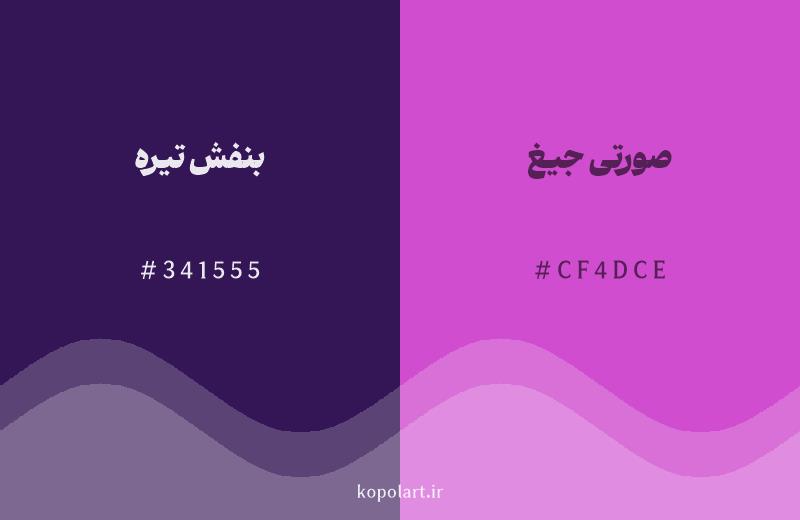 رنگ همسایه بنفش تیره با کد هگزادسیمال 341555، رنگ صورتی جیغ با کد CF4DCE