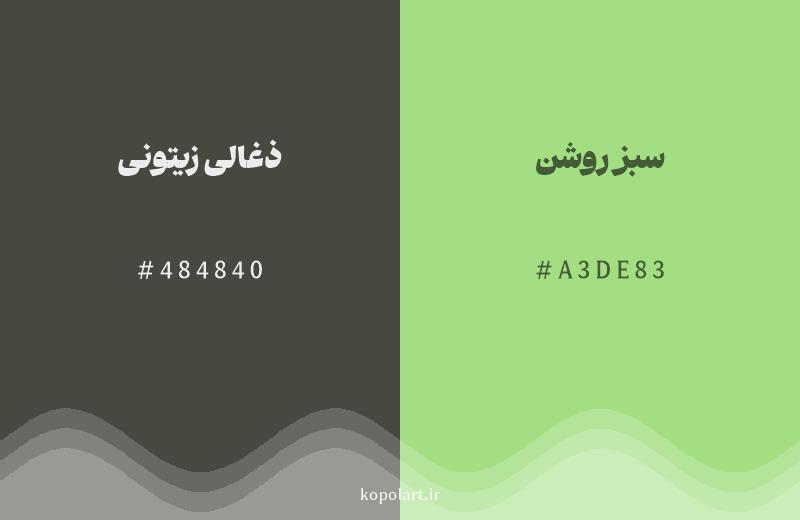 رنگ همسایه ذغالی زیتونی با کد هگزادسیمال 484840، رنگ سبز روشن با کد A3DE83