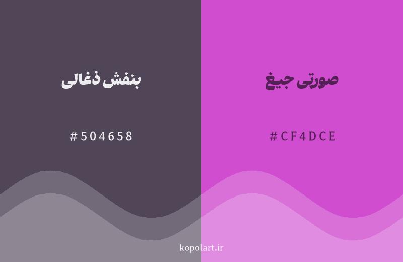 رنگ همسایه بنفش ذغالی با کد هگزادسیمال 504658، رنگ صورتی جیغ با کد CF4DCE