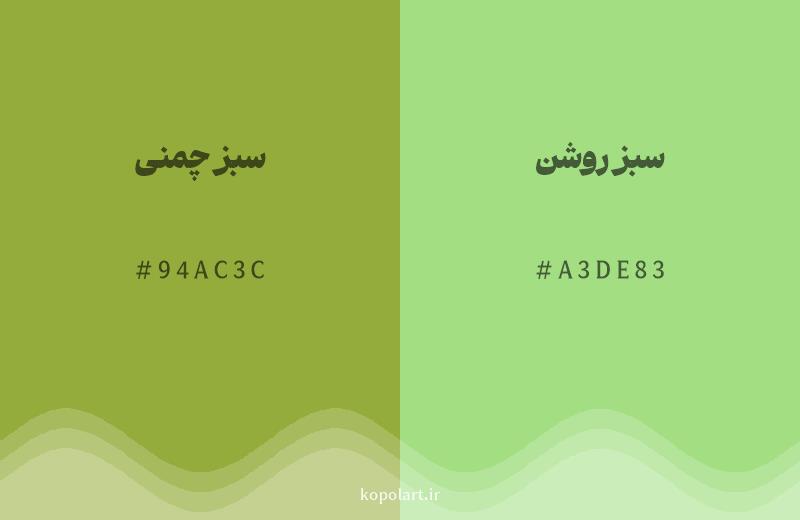 رنگ همسایه سبز چمنی با کد هگزادسیمال 94AC3C، رنگ سبز روشن با کد A3DE83