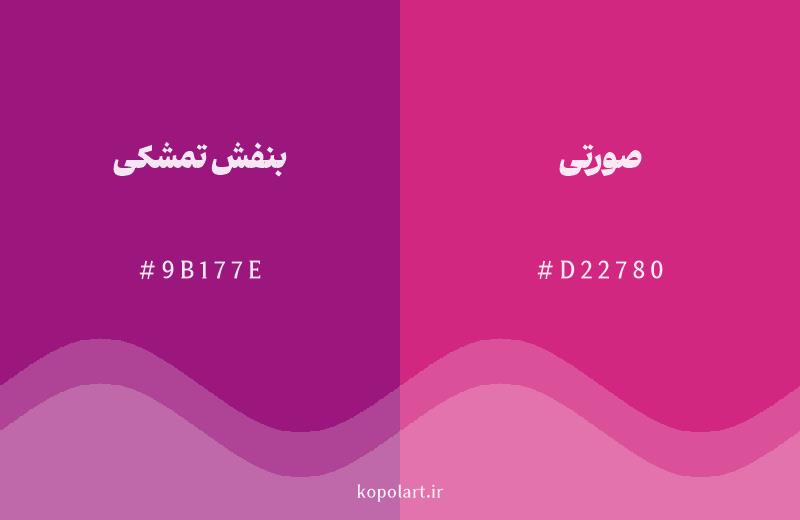 رنگ همسایه بنفش تمشکی با کد هگزادسیمال 9B177E، رنگ صورتی با کد D22780