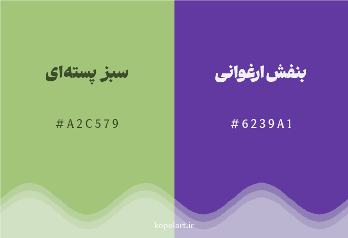رنگ مکمل سبز پسته‌ای با کد هگزادسیمال A2C579، رنگ بنفش ارغوانی با کد 6239A1