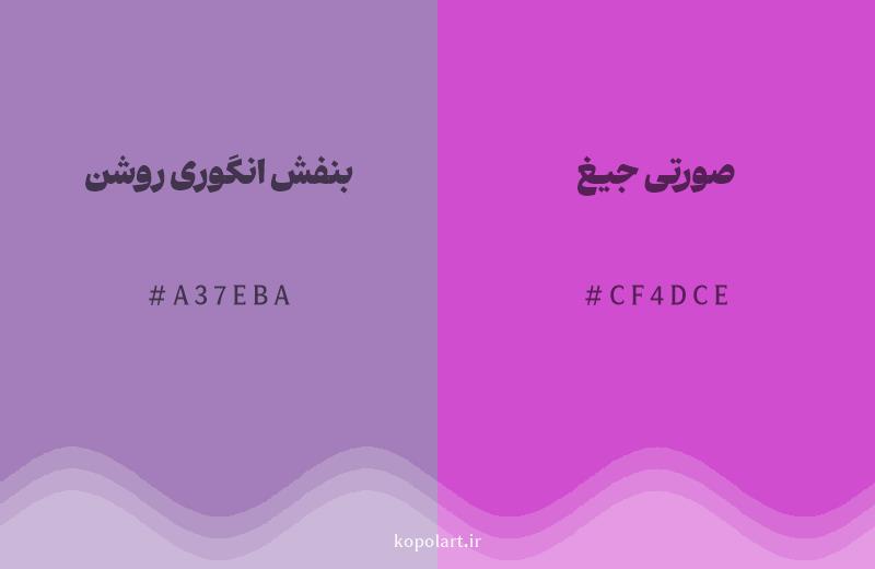 رنگ همسایه بنفش انگوری روشن با کد هگزادسیمال A37EBA، رنگ صورتی جیغ با کد CF4DCE