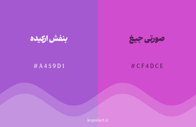 رنگ همسایه بنفش ارکیده با کد هگزادسیمال A459D1، رنگ صورتی جیغ با کد CF4DCE