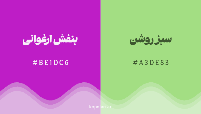 رنگ مکمل بنفش ارغوانی با کد هگزادسیمال BE1DC6، رنگ سبز روشن با کد A3DE83