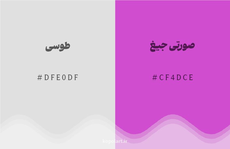 رنگ مکمل طوسی با کد هگزادسیمال DFE0DF، رنگ صورتی جیغ با کد CF4DCE