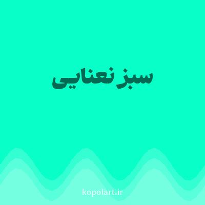 رنگ سبز نعنایی (Mint Green Color) با کد هگز 08FFC8