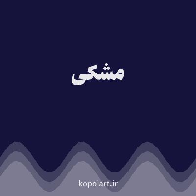 رنگ مشکی با کد 15133C