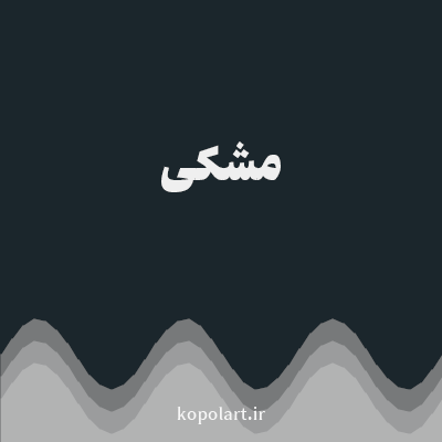 رنگ مشکی با کد 1B262C