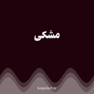 رنگ مشکی با کد 1F020B