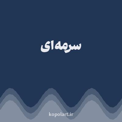 رنگ سرمه‌ای با کد 213555