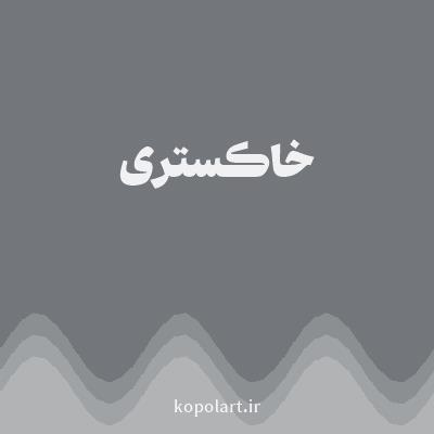 رنگ خاکستری با کد 73777B