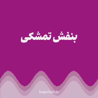 رنگ بنفش تمشکی با کد 9B177E
