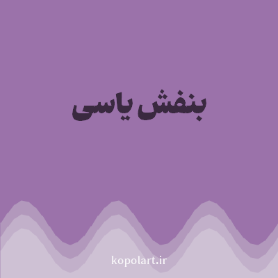 رنگ بنفش یاسی (Lilac Color) با کد هگز 9B72AA