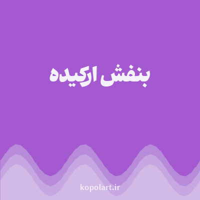 رنگ بنفش ارکیده (Orchid Purple Color) با کد هگز A459D1