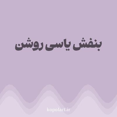 رنگ بنفش یاسی روشن (Light Lilac Color) با کد هگز C6B4CE