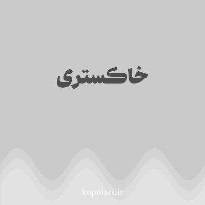 رنگ خاکستری (Gray Color) با کد هگز CACACA