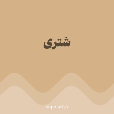 رنگ شتری با کد D4B186