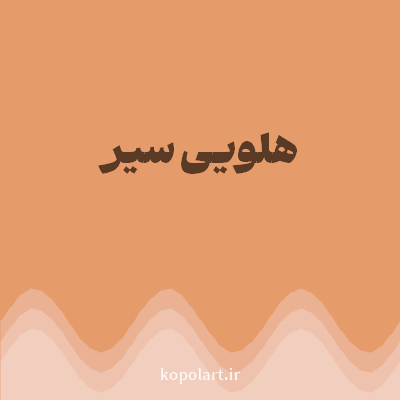 رنگ هلویی سیر (Dark Peach Color) با کد هگز E59B6A