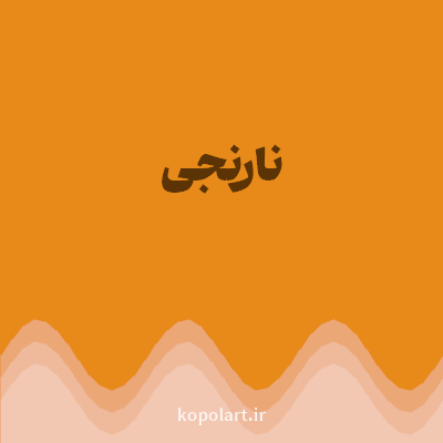 رنگ نارنجی (Orange Color) با کد هگز E88A1A