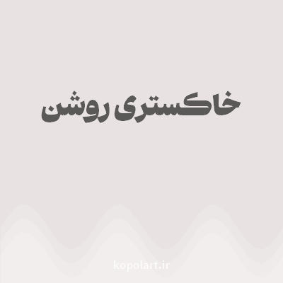 رنگ خاکستری روشن (Light Gray Color) با کد هگز E8E2E2